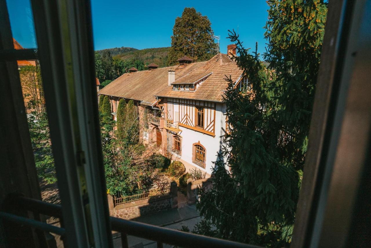 Domaine Boheme I Art De Vivre Apartment Guebwiller Luaran gambar