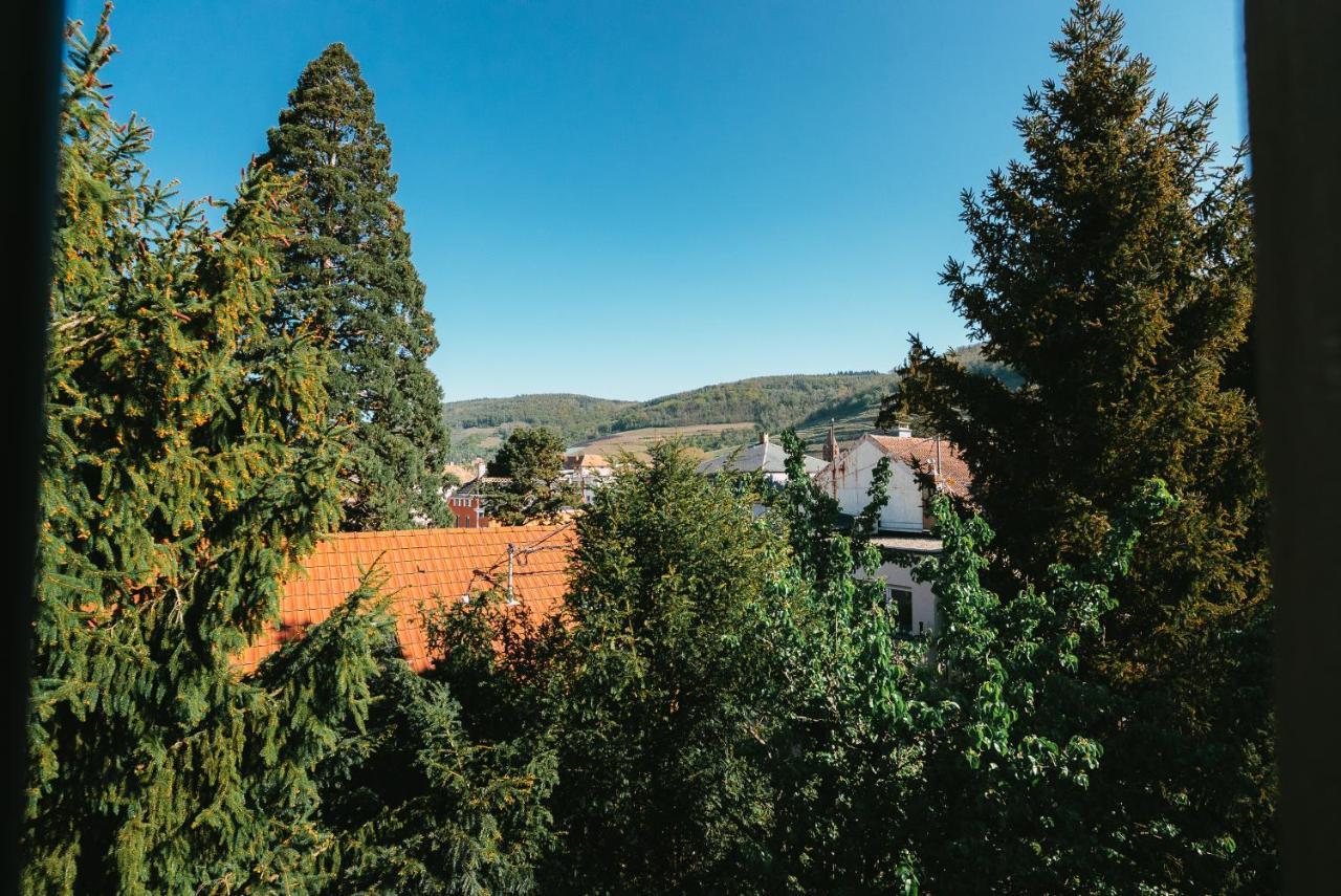 Domaine Boheme I Art De Vivre Apartment Guebwiller Luaran gambar