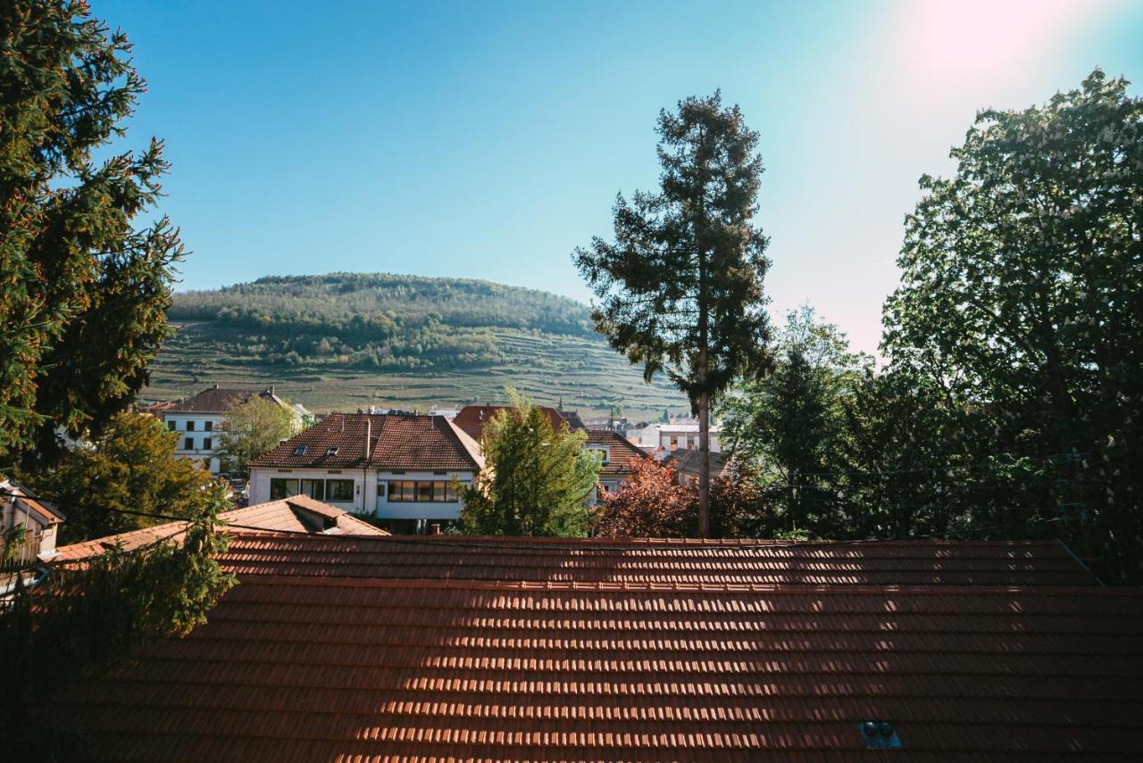 Domaine Boheme I Art De Vivre Apartment Guebwiller Luaran gambar